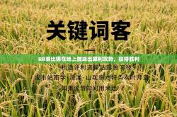 RB莱比锡在场上展现出犀利攻势，获得胜利