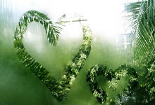 摩纳哥队长年底退役,谢幕告别舞台