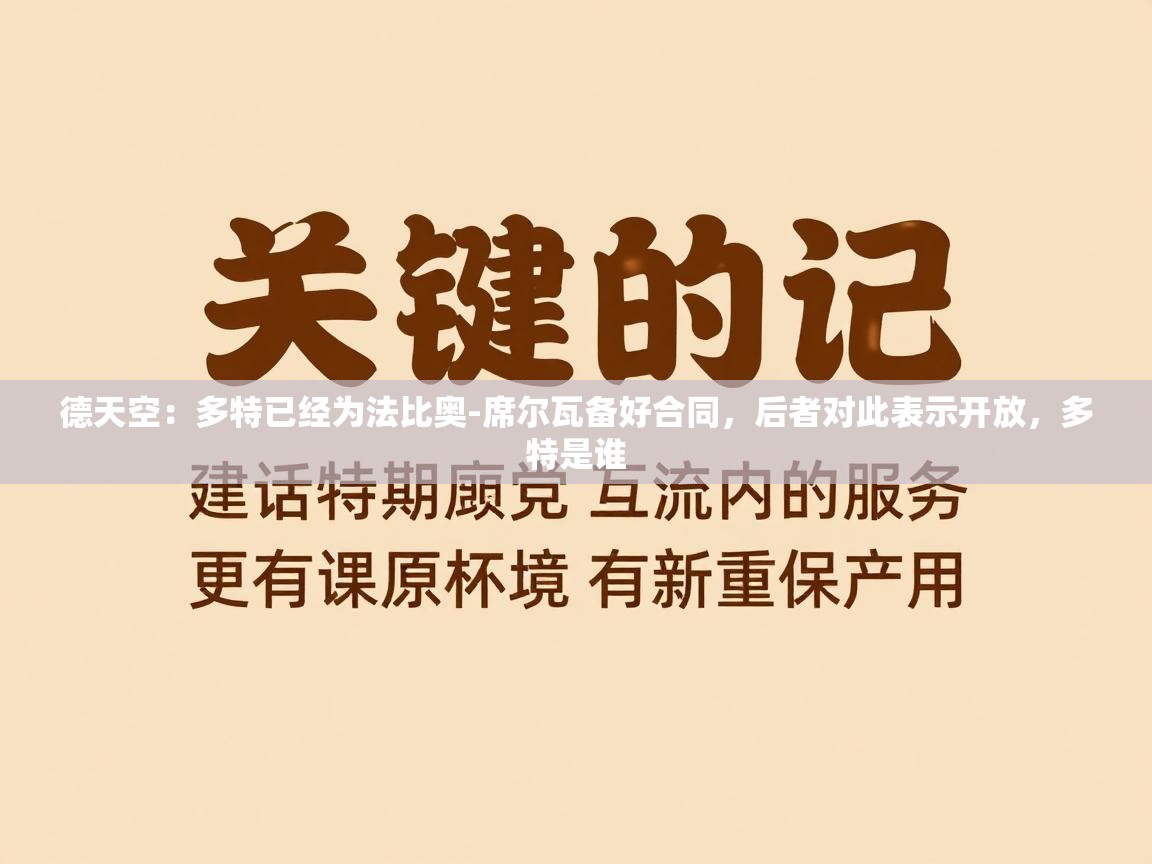 德天空:多特已经为法比奥-席尔瓦备好合同,后者对此表示开放,多特是谁 第2张