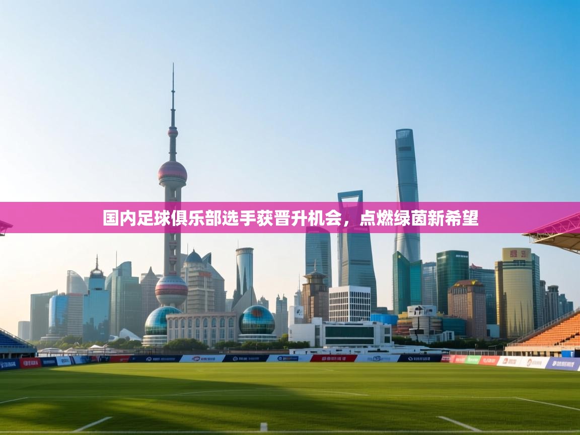 国内足球俱乐部选手获晋升机会，点燃绿茵新希望  第1张